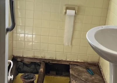 Professional House Painter